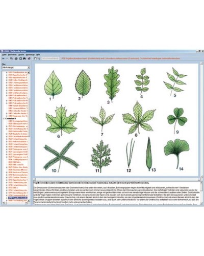 Botany in the Classroom, Interactive CD-ROM